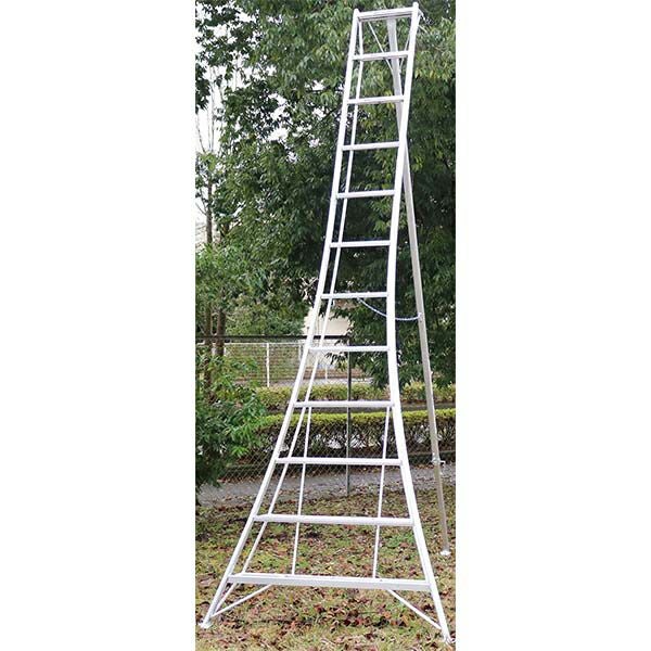 アルインコ(ALINCO)アルミ園芸三脚360cm KWX360送料無料 メーカー直送 アルインコ(ALINCO)アルミ園芸三脚360cm KWX360送料無料 メーカー直送