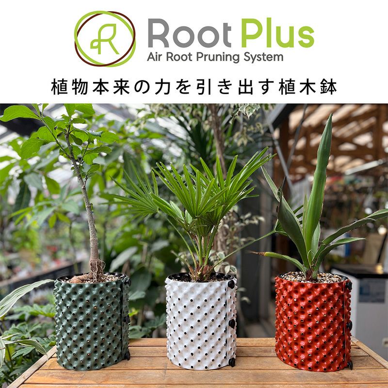 ジューンベリー　383 ルートプラスポット入り 南榮工業 ルートプラスポットミニ 植木鉢 1.5L | 西村ジョイオンライン