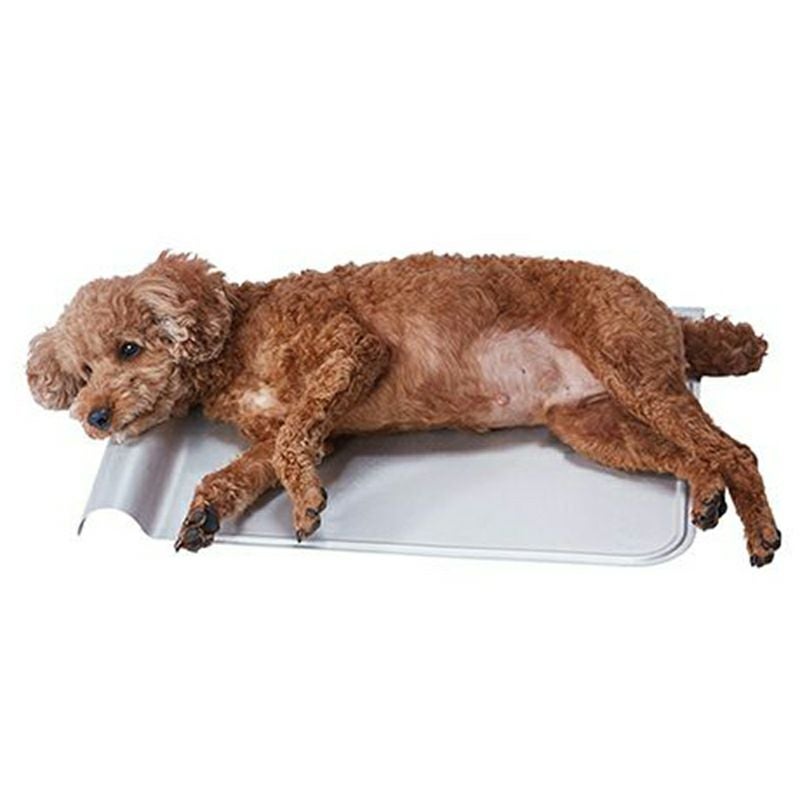 ペティオ 犬猫用マット 広々寝そべれる クールアルミピローシート HNZ
