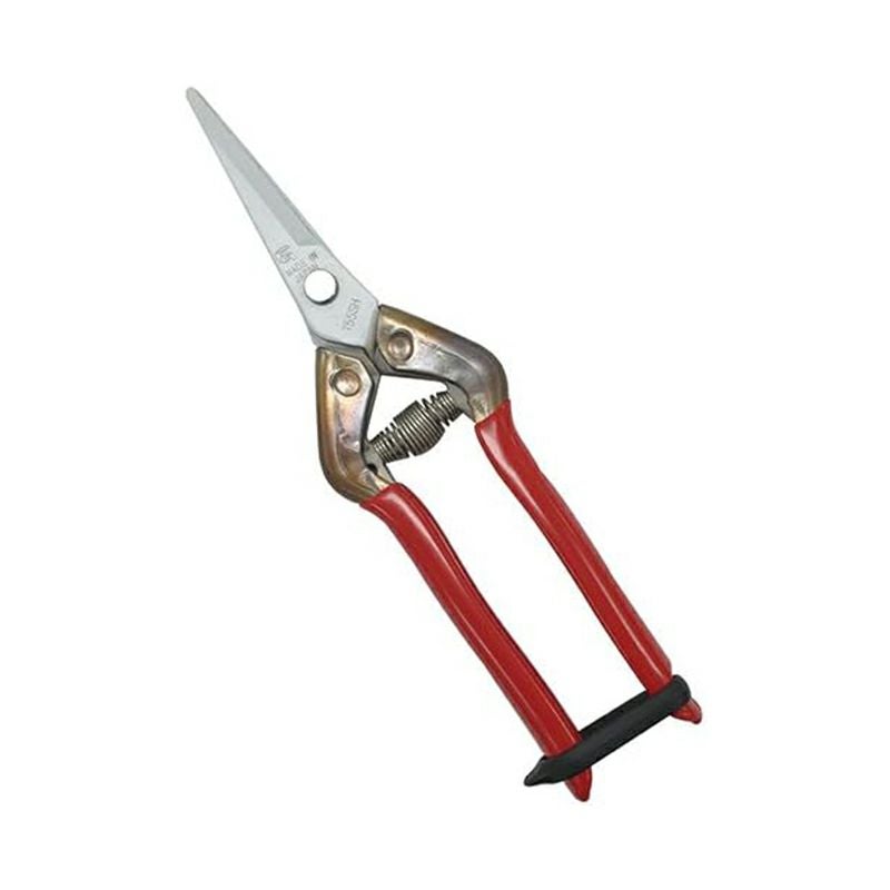 近正 ステンレス抗菌鋏 園芸用ハサミ T-55SKF メール便対応（3個まで