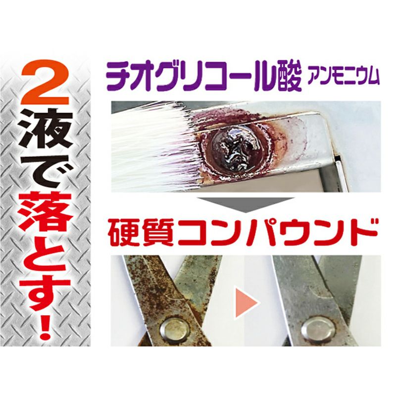 プロスタッフ WS 強力錆取りキット 刃物 ネジ ボルト 金属 サビ取り