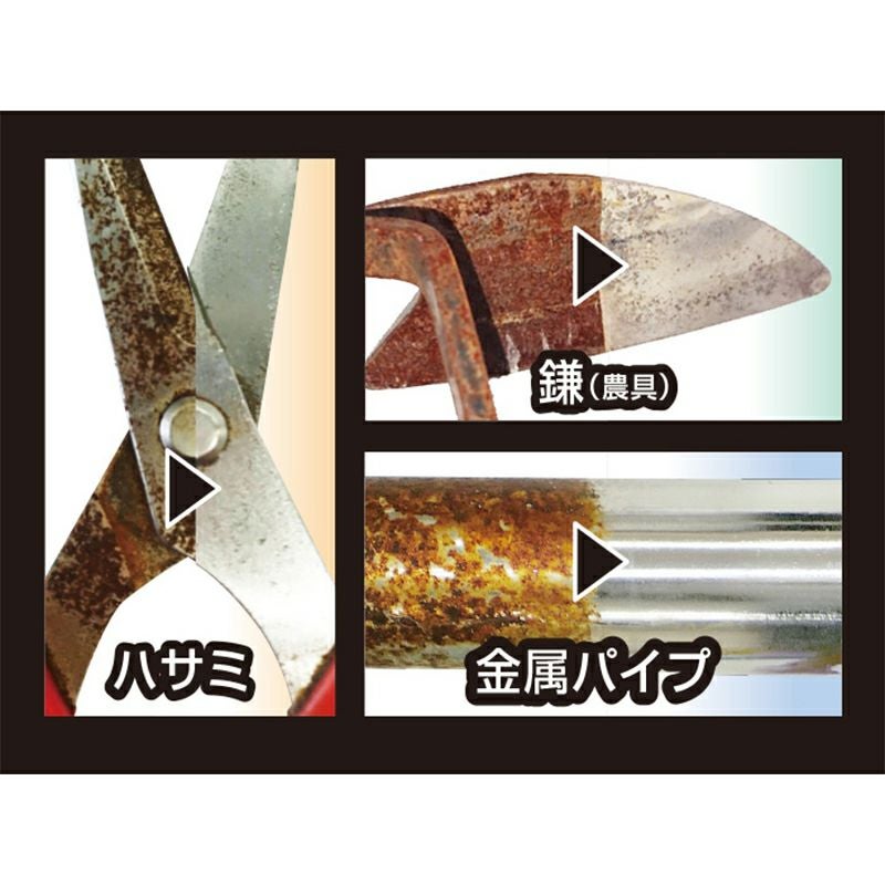 プロスタッフ WS 強力錆取りキット 刃物 ネジ ボルト 金属 サビ取り